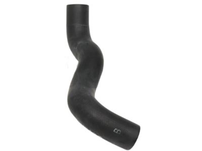 Nissan 21503-ED800 Hose-Lower