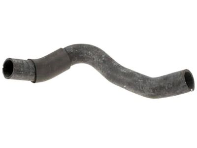 Nissan 21503-ZS20A Hose-Radiator, Lower