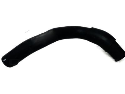 Nissan 21503-ZS20A Hose-Radiator, Lower