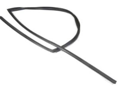 Nissan 80330-4Z305 Glass Run Rubber-Front Door, RH
