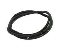 OEM 2002 Nissan Pathfinder Weatherstrip-Front Door, RH - 80830-3W400