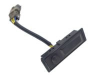 OEM Nissan Lens-CHOKE Lamp - 25380-1EA1A