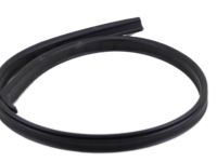 OEM Nissan Pickup WEATHERSTRIP-Roof Drip, R - 76842-01G11