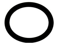 OEM 2018 Nissan Armada Seal O-Ring - 21049-ZL80A