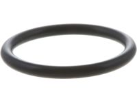 OEM 2014 Nissan Rogue Select Seal O Ring (20.8MM) - 15066-ZL80C