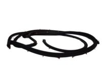 OEM 2020 Nissan NV3500 Weatherstrip-Front Door, LH - 80831-1PA0B