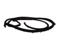 OEM Nissan NV1500 Weatherstrip-Front Door, LH - 80831-1PA0B