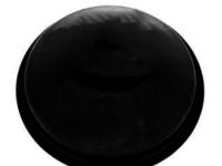 OEM 2005 Nissan Sentra Cap-Hub, Rear Wheel - 43234-4Z300