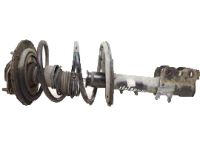 OEM 2002 Nissan Altima Spring-Front - 54010-8J001