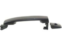 OEM 2005 Nissan Frontier Front Outside Door Handle Assembly, Left - 80607-EA550