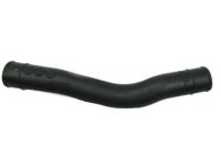 OEM 2005 Nissan Altima Hose-Filler - 17228-8J020