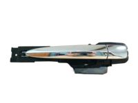 OEM 2009 Nissan Murano Right Handle, Outside - 80640-1AA0A