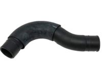 OEM Hose-Filler - 17228-1W200