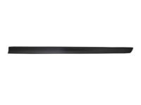 OEM 2017 Nissan Rogue Moulding-Front Door, RH - 80876-4BA0A