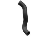 OEM Nissan Versa Hose-Radiator, Lower - 21503-EL70A