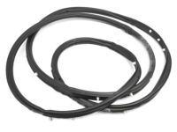 OEM 2015 Nissan Juke Weatherstrip-Lid - 91246-1LA1A