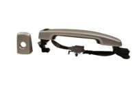 OEM 2010 Nissan Altima Front Outside Door Handle Assembly, Left - 80607-JA51A