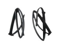 OEM 2014 Nissan Xterra Glass Run Rubber-Front Door, RH - 80330-EA000