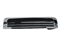 OEM Nissan Pickup Front Door Outside Handle Assembly, Right - 80607-01A00