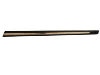 OEM 2017 Nissan Rogue Moulding-Front Door, RH - 80876-6FL0A