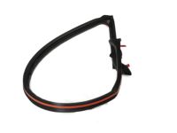 OEM 2012 Nissan GT-R Weatherstrip-Body Side, LH - 76861-JF00E