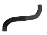 OEM Nissan Quest Hose-Radiator, Lower - 21503-8J110