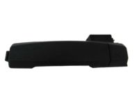 OEM 2014 Nissan Titan Outside Handle Grip - 80640-EZ03A