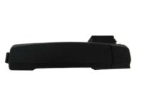 OEM 2006 Nissan Titan Outside Handle Grip - 80640-EZ03A