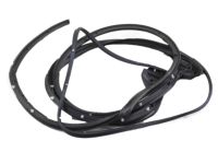 OEM 2012 Nissan Pathfinder WEATHERSTRIP-Rear RH - 82831-ZS30A
