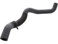 OEM Nissan Hose-Radiator, Lower - 21503-ZS00A