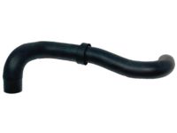 OEM 1995 Nissan Pickup Hose-Radiator Lower, Rear - 21505-86G06