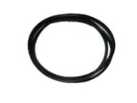 OEM Nissan Pathfinder Weatherstrip-Front Door Outside, LH - 76843-3W410