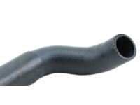 OEM 2007 Nissan Murano Hose-Radiator, Lower - 21503-CA000