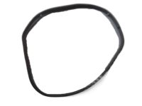 OEM Nissan Armada WEATHERSTRIP Quarter Window R - 83352-7S00B