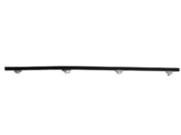 OEM 1991 Nissan Sentra Moulding Assy-Front Door Outside, RH - 80820-64Y00