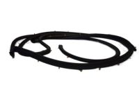 OEM Nissan NV3500 Glass Run Rubber-Front Door, LH - 80331-1PA0A