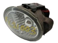 OEM 2005 Nissan Murano Lamp Fog LH - 26155-CB025