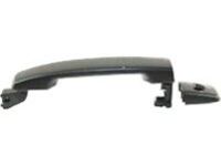 OEM Nissan Frontier Front Door Outside Handle Assembly, Left - 806B1-ZP60E