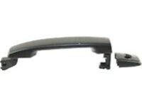 OEM 2010 Nissan Xterra Front Door Outside Handle Assembly, Left - 806B1-ZP60E