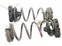 OEM Nissan Spring-Rear Suspension - 55020-CD010