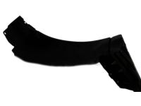 OEM Nissan Protector-Front Fender, Front RH - 63844-6GA0A