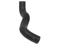 OEM 2009 Nissan Cube Hose-Lower - 21503-ED800