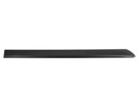 OEM Nissan Altima MOULDING - Rear Door, RH - 82870-JA01E