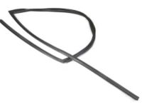 OEM 2004 Nissan Sentra Glass Run Rubber-Front Door, RH - 80330-4Z305