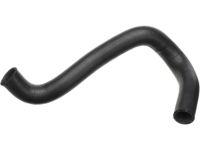 OEM 1994 Nissan D21 Hose-Radiator (Lower) - 21503-86G01