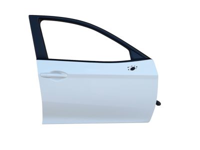 Toyota 67001-06280 Door Shell