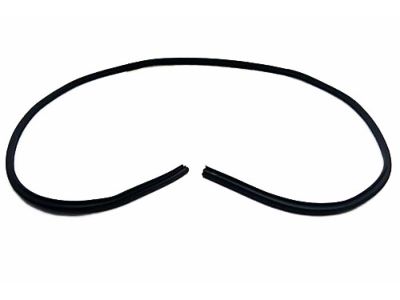 Toyota 62311-AA030-B0 Weatherstrip On Body