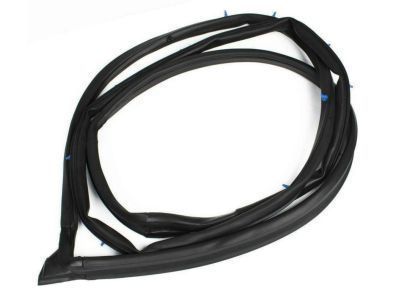 Toyota 67861-48060 Door Weatherstrip