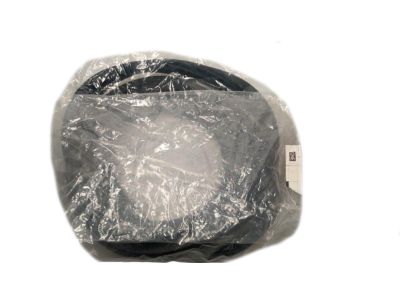 Toyota 62331-WB002 Weatherstrip On Body