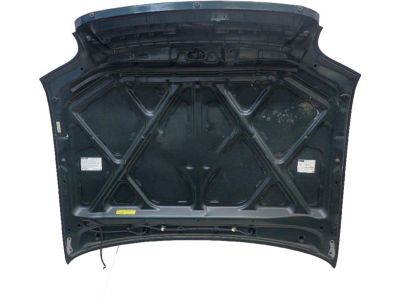 Toyota 53301-0C021 Hood